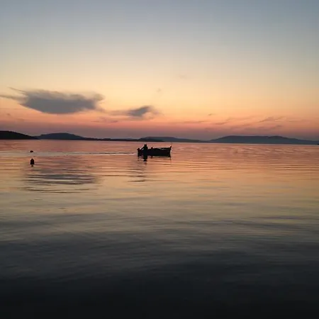 Busac * 扎博里克