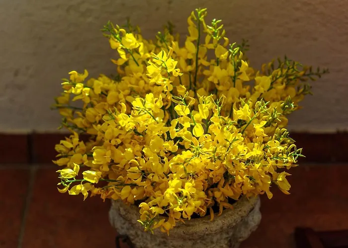 דירה Busac ז'אבוריץ'