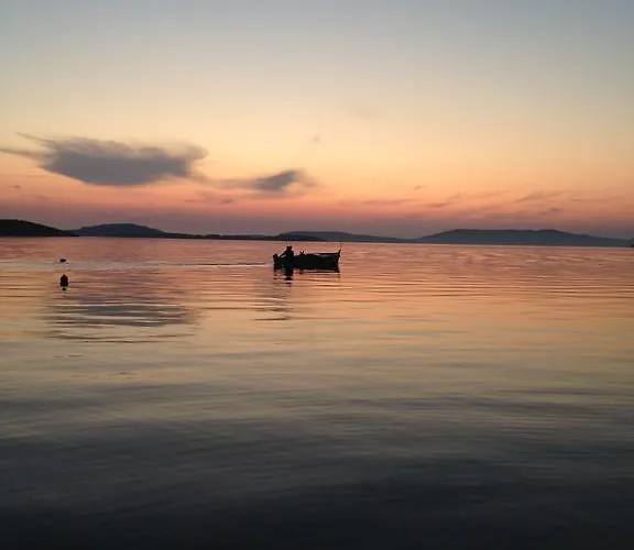 Busac * ז'אבוריץ'